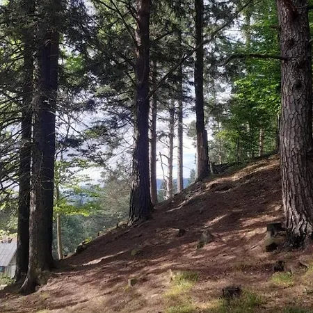 דירה за рікою