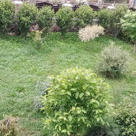 за рікою דירה